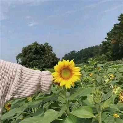 六扇门小米版下载
